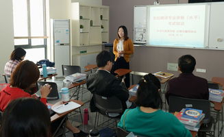 二十八载深耕，铸就专业级翻译服务